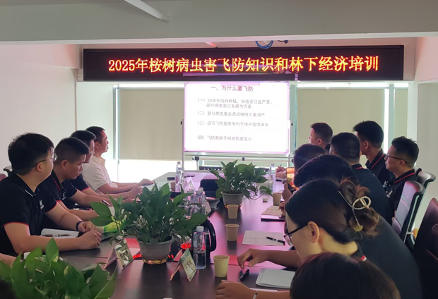 七坡桉树肥营销团队培训会在南宁总部举行