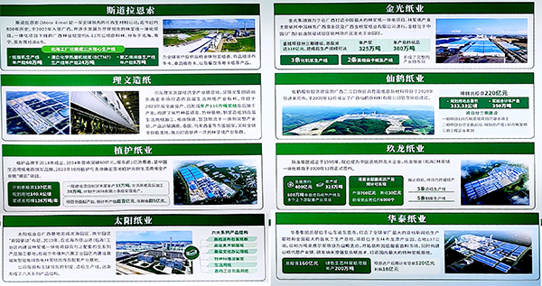 广西多个“林纸浆”一体化项目纷纷落地