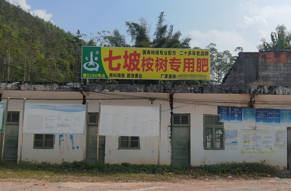 第0290号店百色市平果四塘店